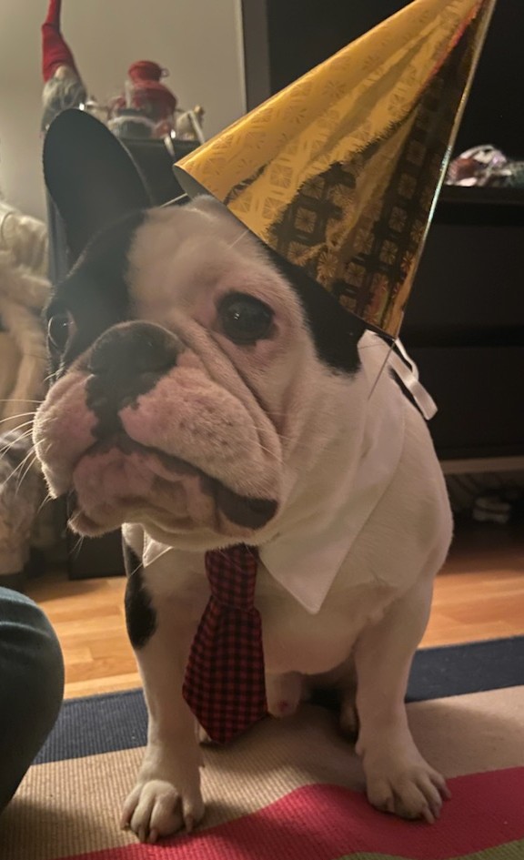 Maria Wiman tweet media