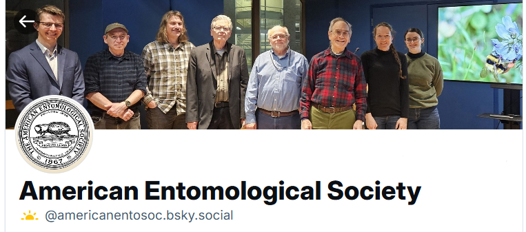 AES Entomology tweet media