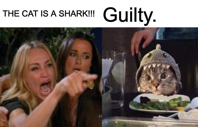 WYACSolana's tweet photo. @SharkCatSolana !!! https://t.co/G0u7neBoPv