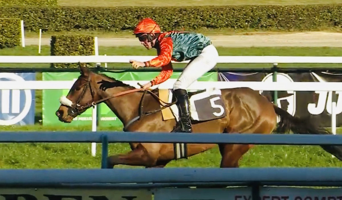 Remember Cali nous offre aujourd’hui à <a href="/Hippodrome_Pau/">Hippodrome de Pau</a> la 45e victoire de la saison ! Une année 2024 que nous ne sommes pas prêts d’oublier, avec de nombreux objectifs atteints. Merci à toute l’équipe et à nos propriétaires, et rendez vous en 2025 🎉