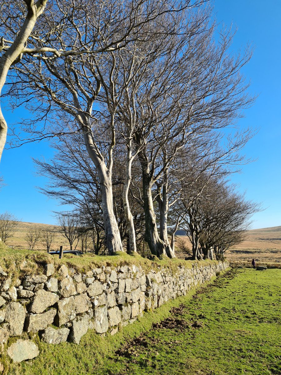 Happy New Year, everyone! 
May 2025 be fabulous, successful, healthy and kind! X