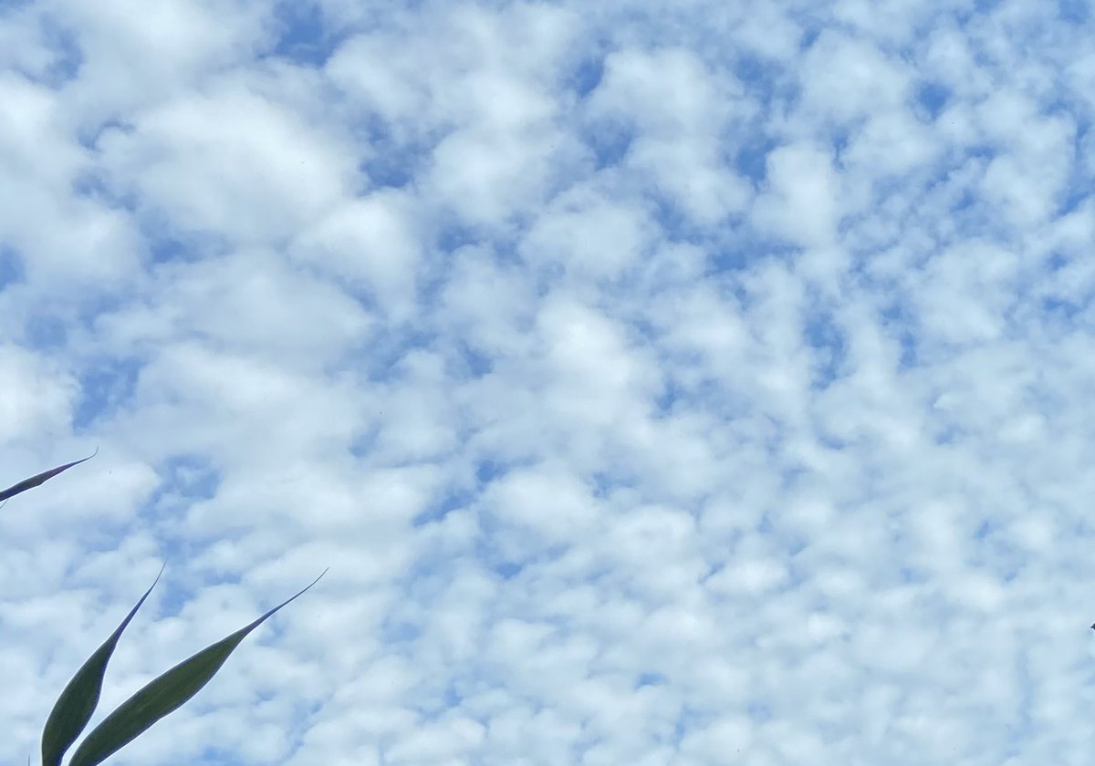 Lovely clouds today, just outside my windows!
