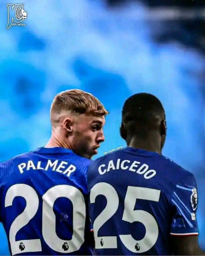 Happy New year 2025 blues 💙 
No blue fan will pass without liking 💙💫
Let's go