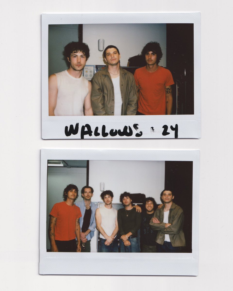 Wallows tweet media