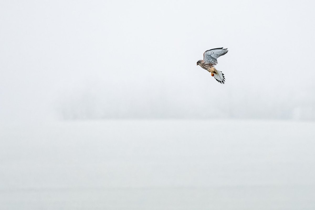 walkographer's tweet photo. https://t.co/cgxuLg2UWM