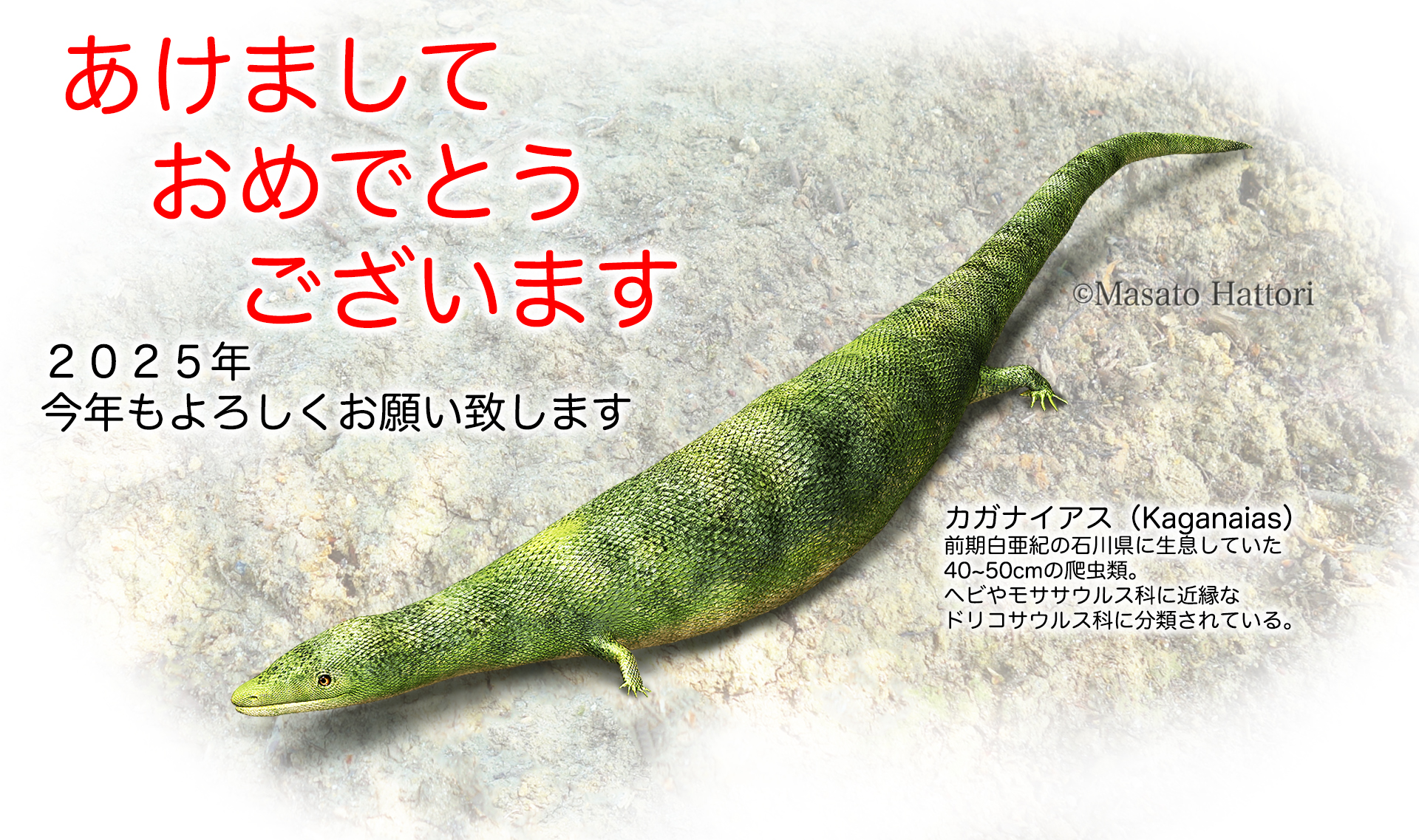 服部雅人 Masato Hattori on X: 