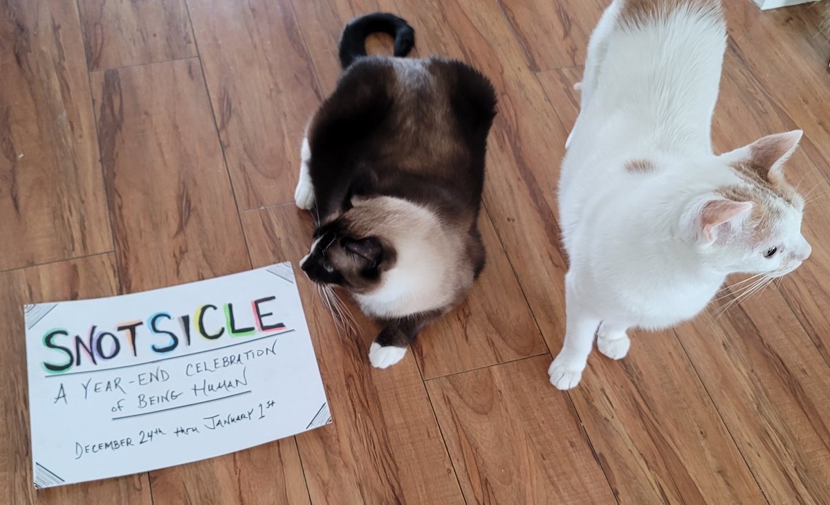 JebbieJoyride's tweet photo. Looking for somewhere to kiss 2024 goodbye?  Register for Snotsicle at:
https://t.co/wFYE0FNFzV

Scan the code to learn about the host and how you can help.  Thank you. 🐾❤

#Snotsicle #kristenscrossroad #music #stories #cats #pets #HolidayMagic https://t.co/kkWIFm4Rzw
