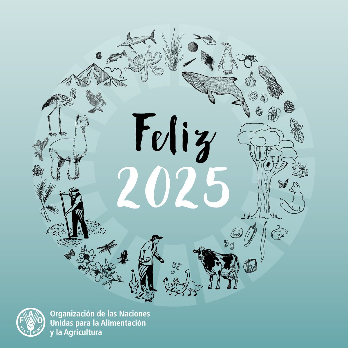 💚 Desde FAO Chile, despedimos este año con agradecimiento por el trabajo colaborativo junto al Gobierno de 🇨🇱  y sus distintos ministerios.

🥗✨ En este cierre de año, cocina con amor, evita el desperdicio de alimentos y disfruta con responsabilidad! 🥂🎊

🎇 Felices Fiestas!
