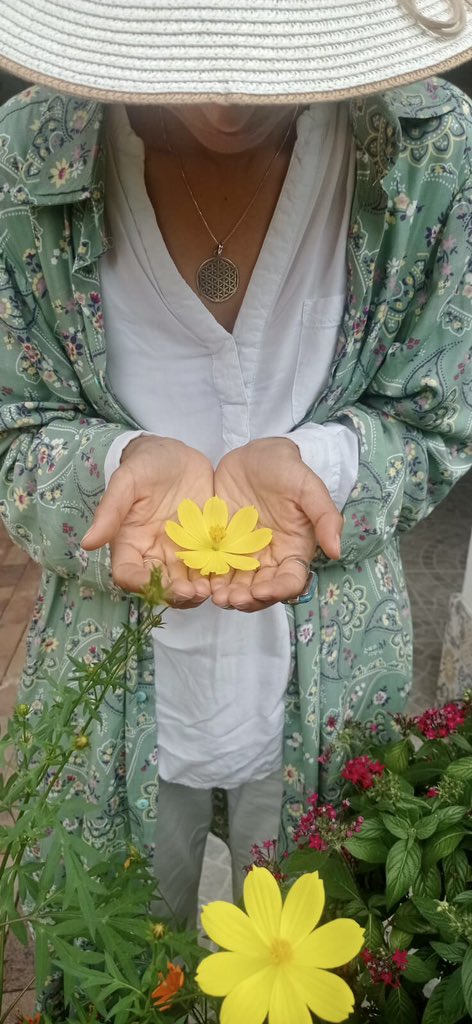 #HappyNewYear 🌀💚☯️⛰️