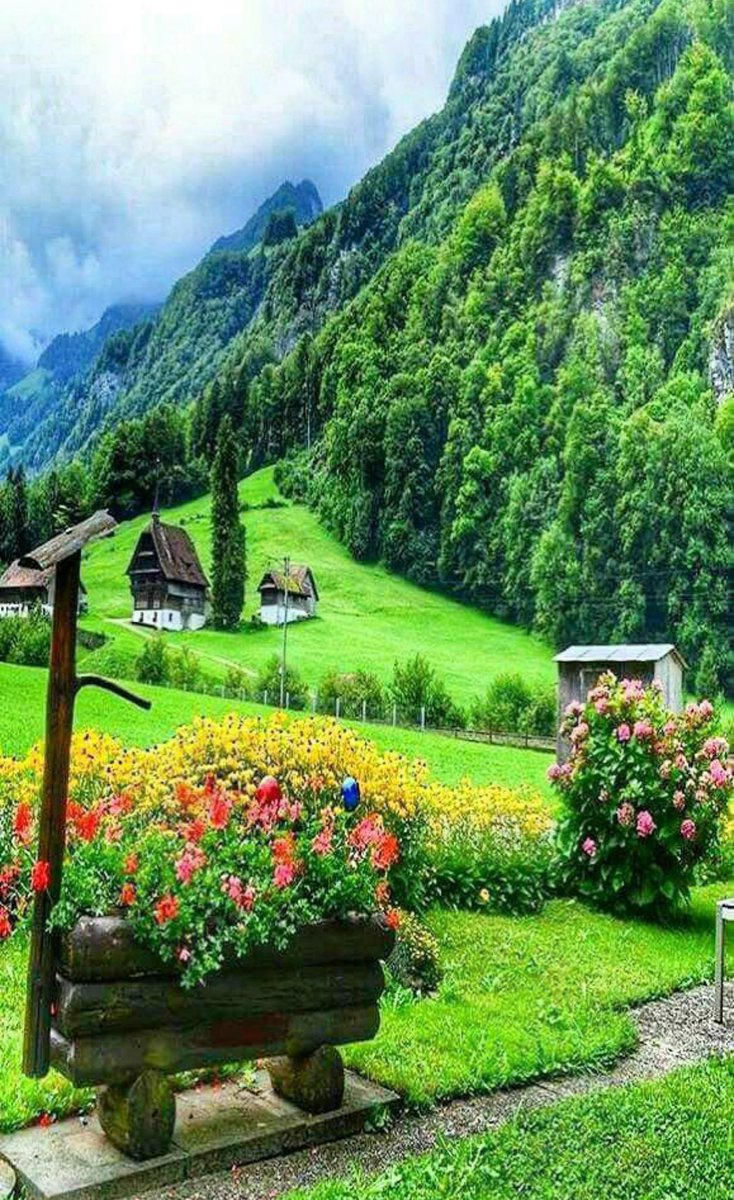 بدأَ العد التنازلي لرحيل عام من أعمارنا.. إثنا عشرة شهراً لا ندري حقاً كيفَ مرّوا بسرعة البرق علينا.. 
أشهر كانت مليئة بألطاف الله التي لاحقتنا ونحن لا ندري، عشنا أيام بالطول والعرض والكثير من الحَمد والاستغفار.. 
سيرحل عامُنا 2024 حامِلاً آهات قلوبنا المكلومة والكثير الكثير من