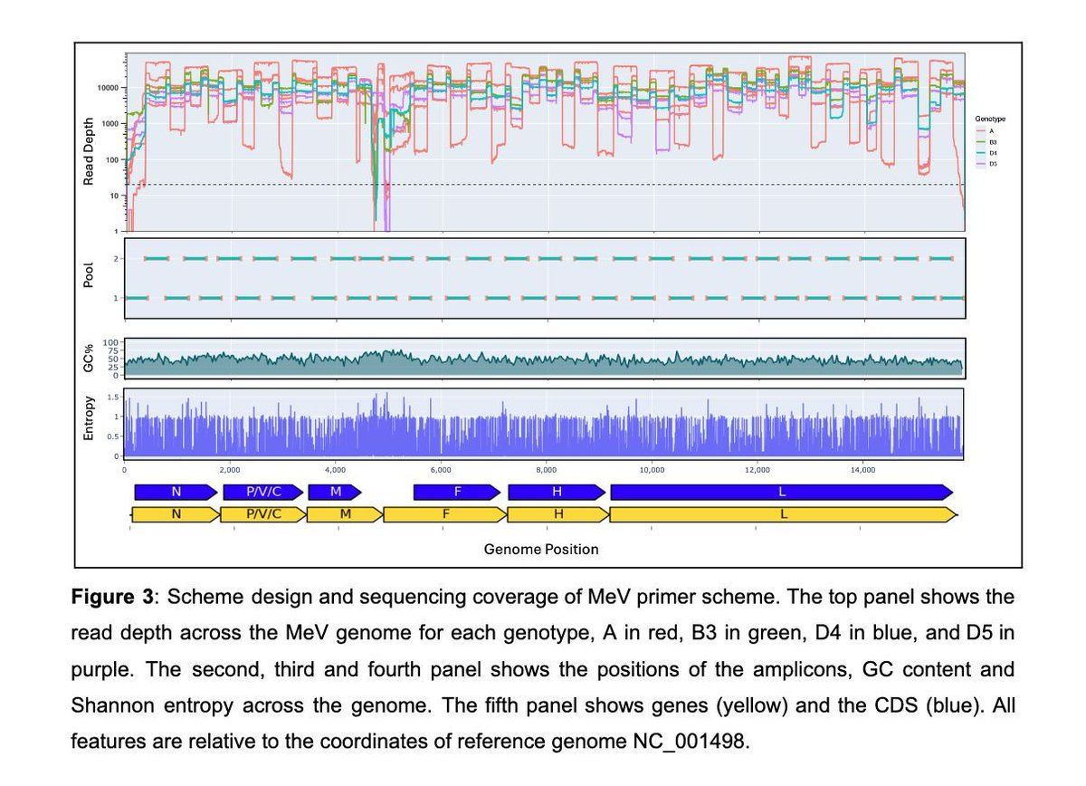 strnr's tweet image. PrimalScheme: open-source community resources for low-cost viral genome sequencing biorxiv.org/content/10.110… 🧬🖥️🧪  github.com/artic-network/…