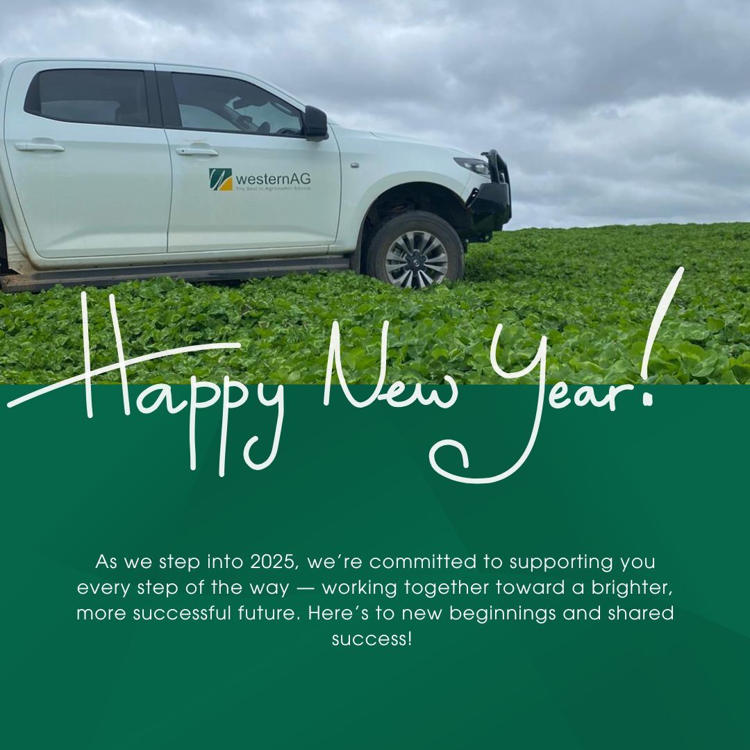 Happy New Year from Western AG! 

2024 has been a challenging year, but through resilience, dedication, and partnership, we’ve navigated it together. To our clients and team members, thank you for your continued trust and hard work. 🌾💪