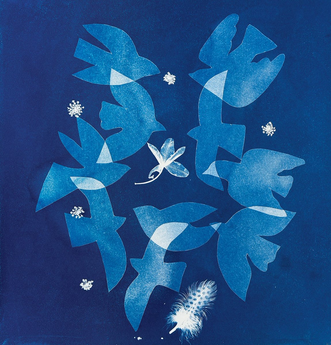 'Everything is connected' by contemporary printmaker Fiona Watson #WomensArt 

#HappyNewYear2025 💙