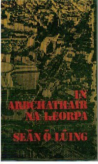 Plean agaibh i gcomhair oíche chinn bhliana? 
Léifeadsa leabhar Gaeilge fén mBruiséil sna seachtóidí, liom féin istigh i bpub i gcathair Phort Láirge, agus triailfidh mé gan 10 bpínt a ól, mar táim le freastal ar rang pilates ar maidin