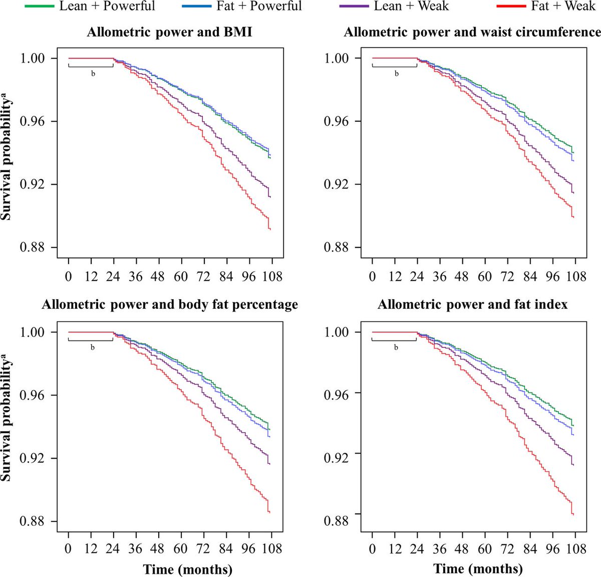 Muscle power—your ability to generate force quickly—is one of the strongest predictors of longevity, even more so than being lean. This is sometimes referred to as the 'fat but powerful' paradox.

In a recent study, older adults with normal and high levels of relative muscle