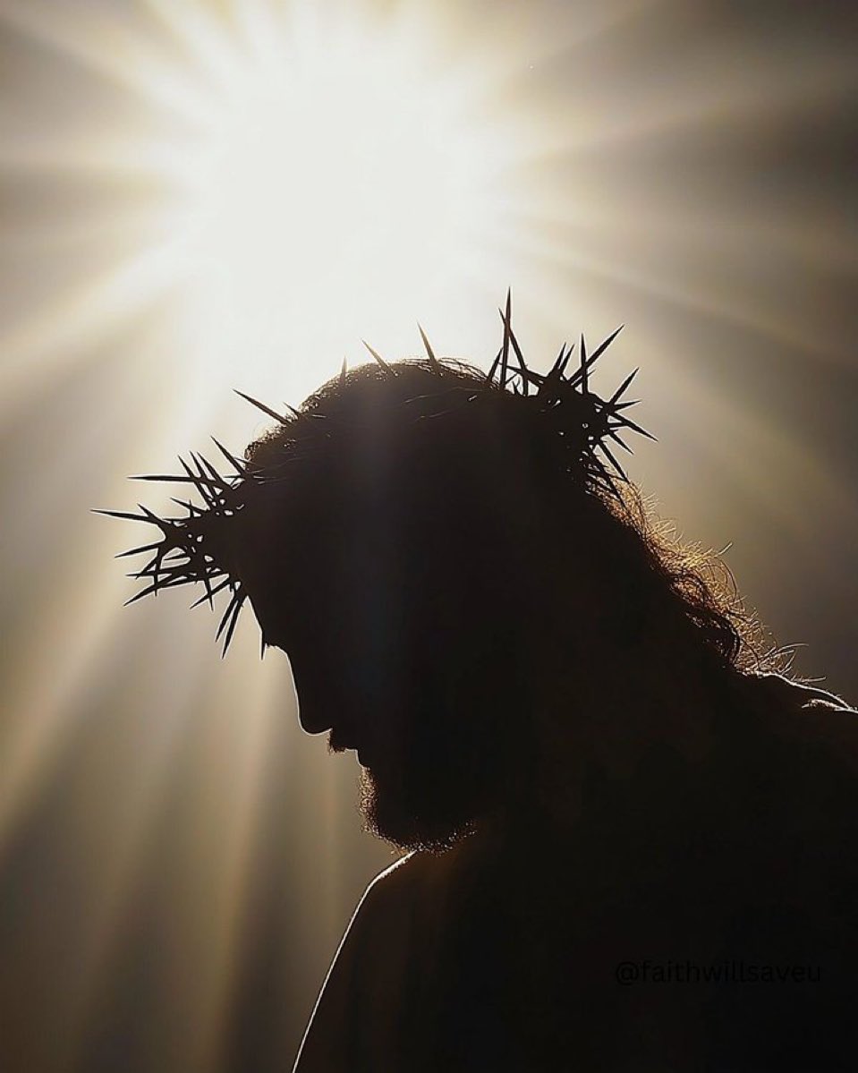 Adam_FaithfulM's tweet photo. Jesus is risen.
Jesus is alive.
Jesus is God. https://t.co/CICFrOZTWr