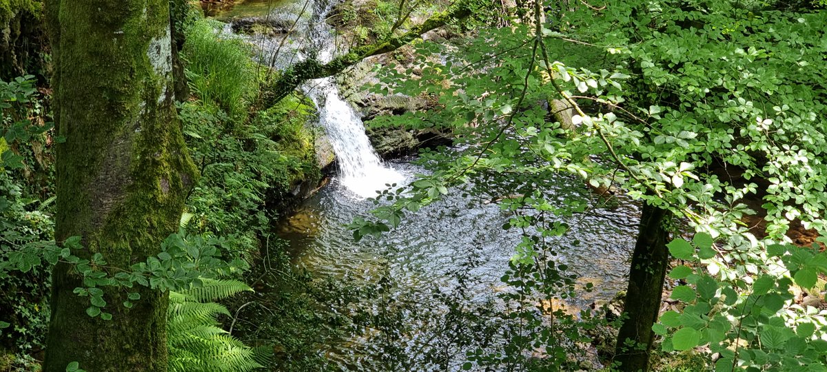 #NatureBeauty #wanderlust #hikingadventures #NaturePhotography #photooftheday #Felizañonuevo