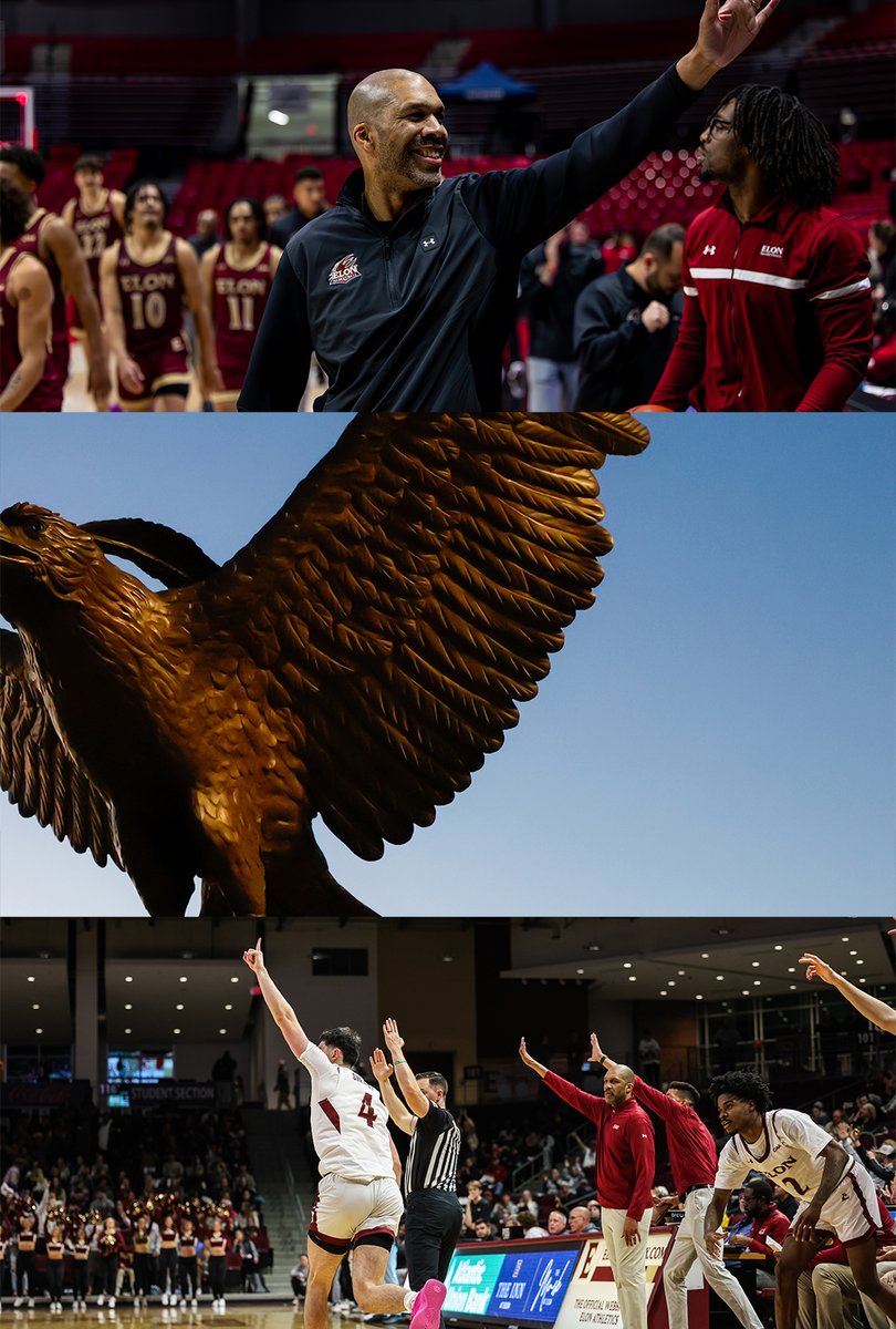 ElonMBasketball's tweet photo. Cheers to 2024

2025 and @CAABasketball play up next!

#phoenixrising #SALT https://t.co/REPqB4Qr4B
