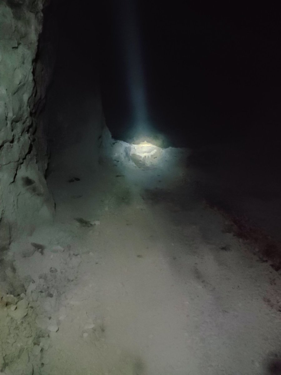 ananditgaurav's tweet image. 