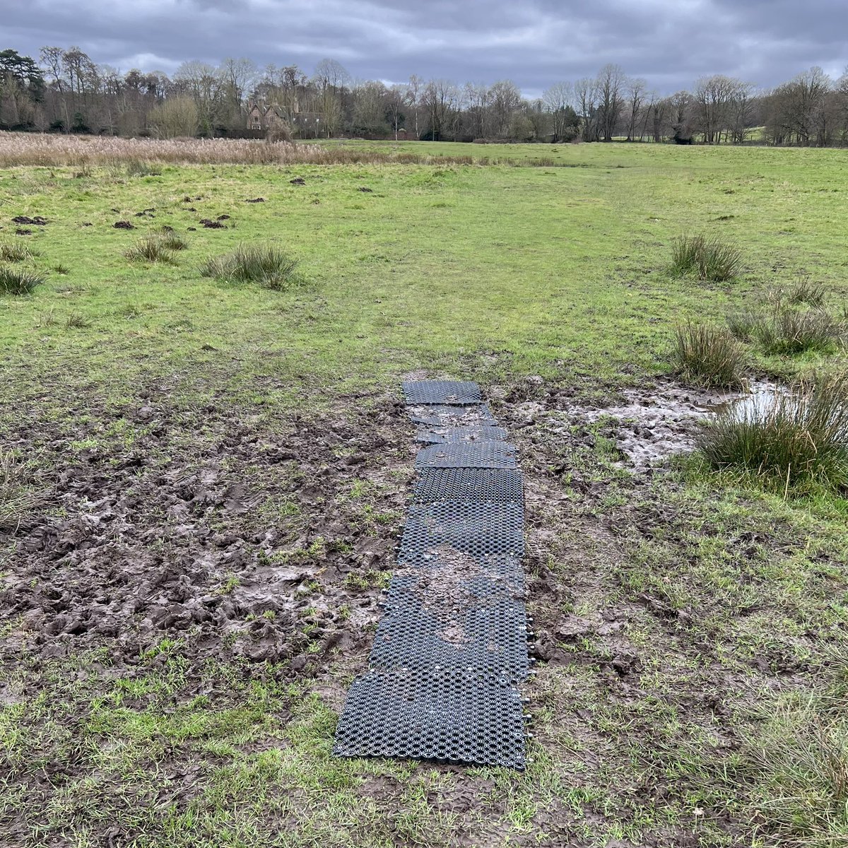 pipegreentrust's tweet photo. Happy New Year to everyone and thanks for your support this year - we really appreciate it! 
Here is a final diary page for 2024   - https://t.co/B4wN5GPljV...
- flowering lesser celandine, some shy great tits and protective mats to keep feet drier and to help protect the meadow https://t.co/xHemb4Etr4