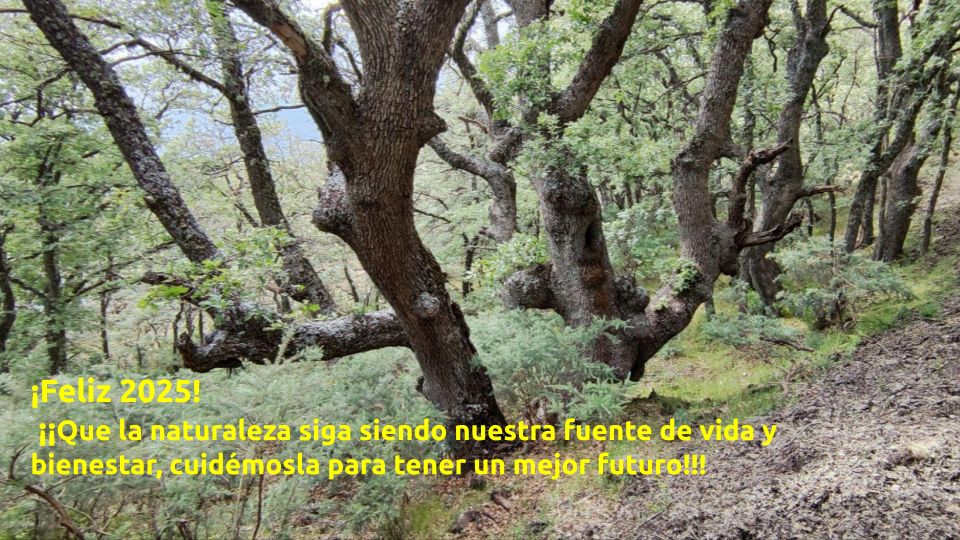 Feliz 2025, Salud y Naturaleza!!
