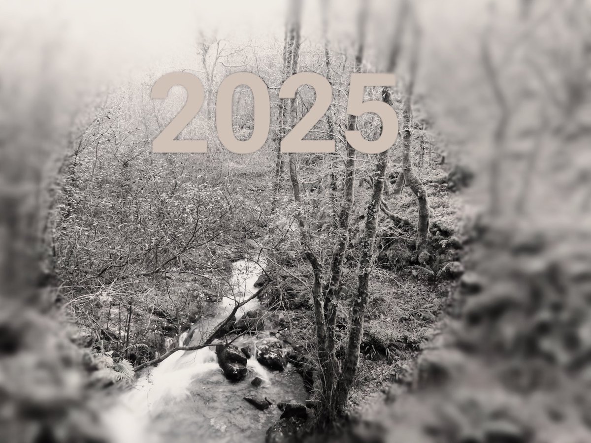 Pechamos 2024, pintando de negro, algo que debería ser multicor....🦋🌿.
Ás persoas que forman e formaron Augas de Galicia, a quen nos le, nos critica ou comparte, compañeir@s doutros Servizos A, e por un mundo sen pisada, Os Nósos Mellores Desexos para este ano 2025.