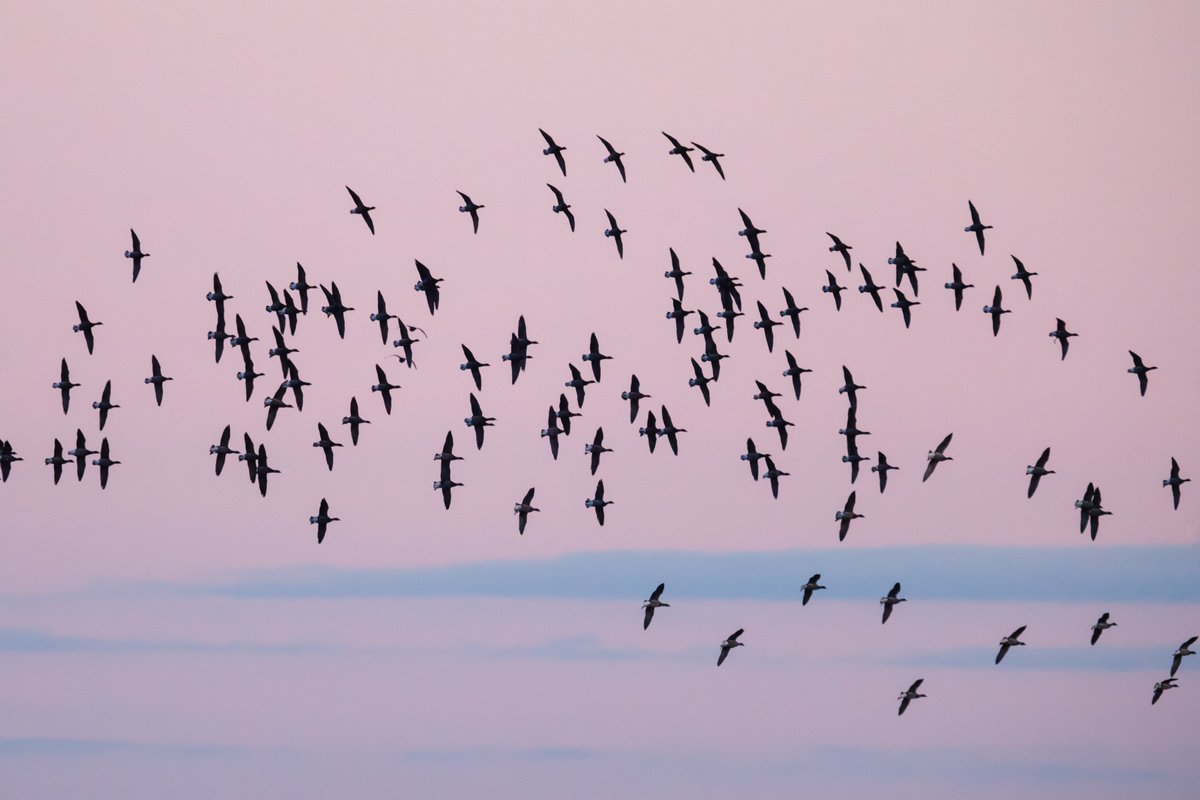 Henry Wyn-Jones tweet media