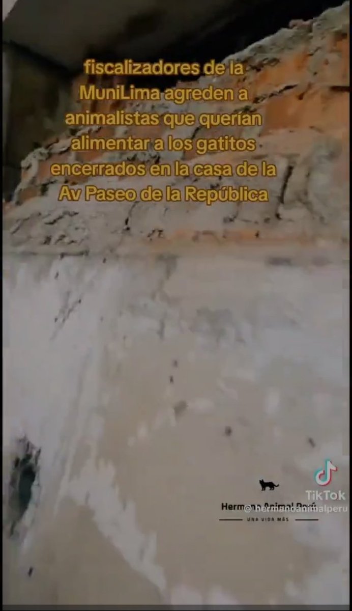 ONLINEMSM's tweet photo. @RPagan15315 @vickyperiodista @rlopezaliaga1 Se ve claramente en el video. https://t.co/DzrQWfewzm