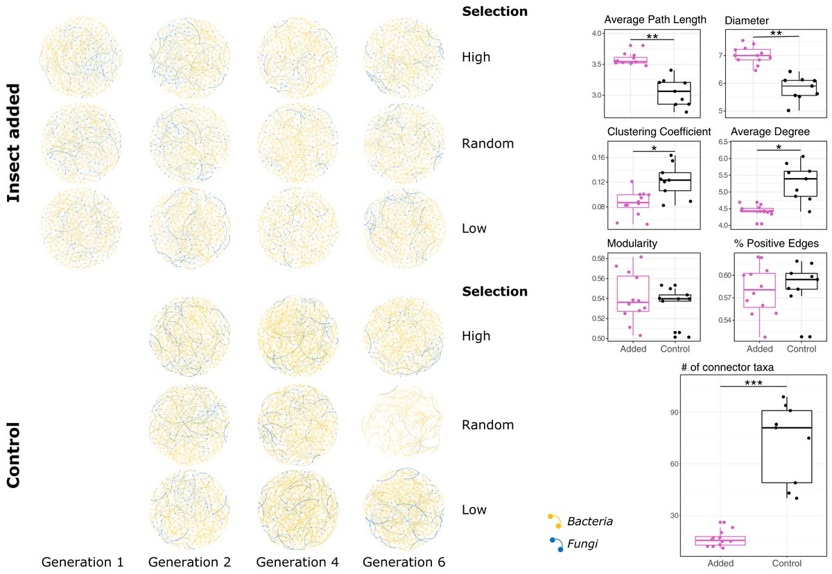 PhytobiomesJ's tweet photo. Microbial communities support plant health but engineering them for pest resistance is complex. Using host-guided selection, Laramy Enders et al. reduced aphid damage on tomatoes by up to 20%, revealing key insights. Learn more: https://t.co/MsrZFezieF https://t.co/9NxbdbO1kf