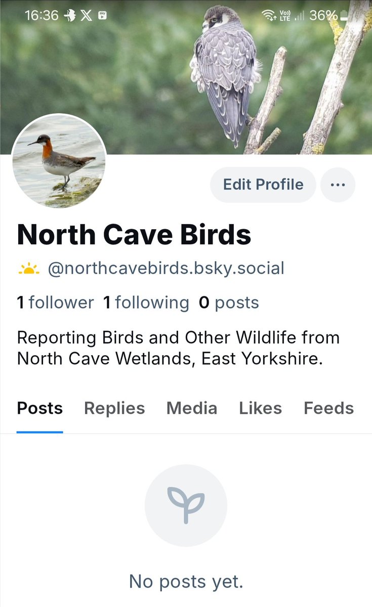 Please note that this will be the FINAL POST from this account on X (formally Twitter).
A new account has been set up on the Bluesky social media platform called;
North Cave Birds.
Please follow for future bird and wildlife news from North Cave Wetlands Yorkshire YWT reserve.