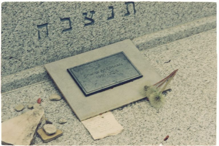 Flavia Dima tweet media