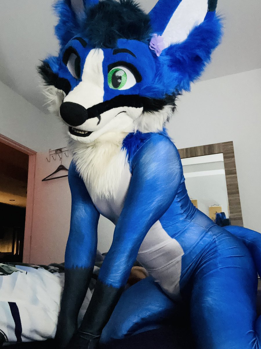 Petsuit Stace hihi , do you cuddle ? 😇 

#furry #fursuit