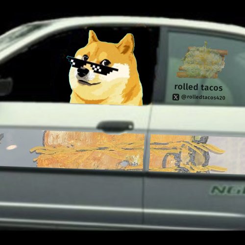 Get in BONKer, we’re going BONKing
