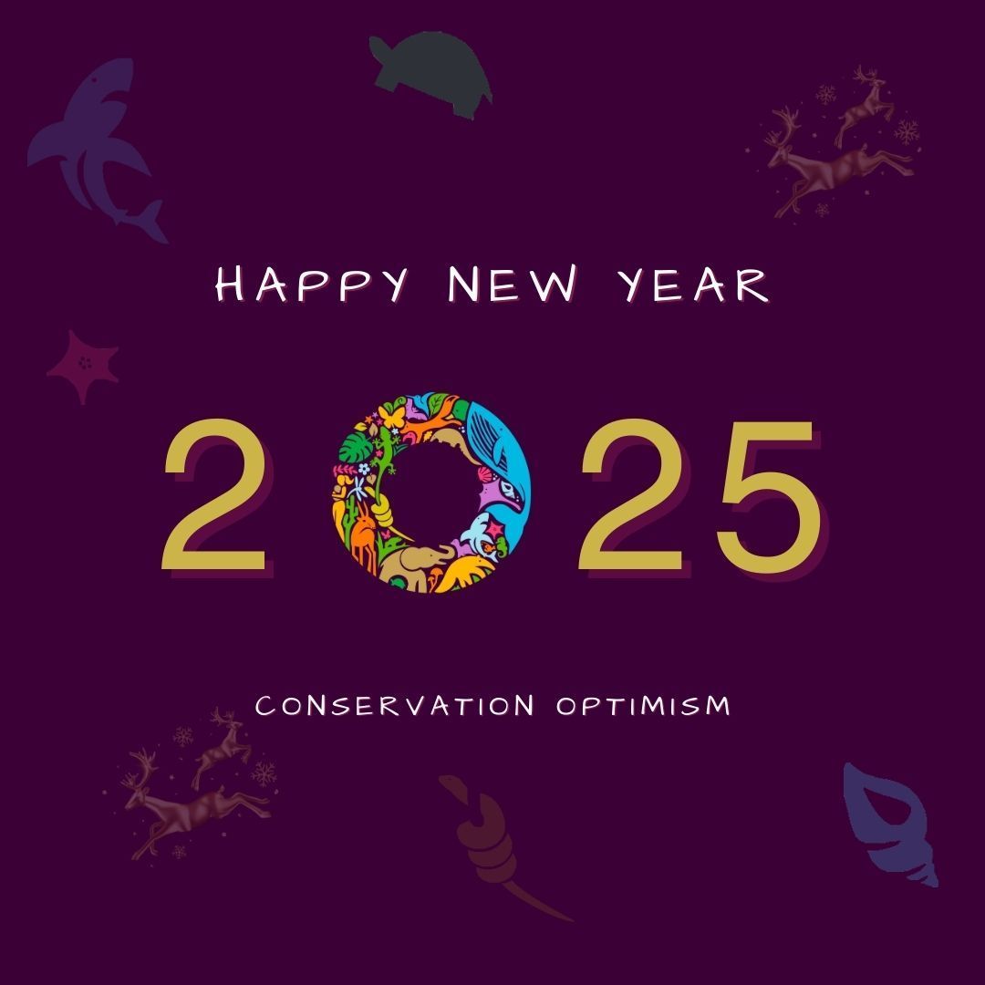 What went right in conservation this year?🌍

 Let’s end 2024 on a high note with our #ConservationOptimism Yearly Round-Up! 
These 12 stories—one for each month—celebrate nature’s resilience and the power of collective action. 🐾💚

buff.ly/3W1fUgh 

Happy New Year 2025
