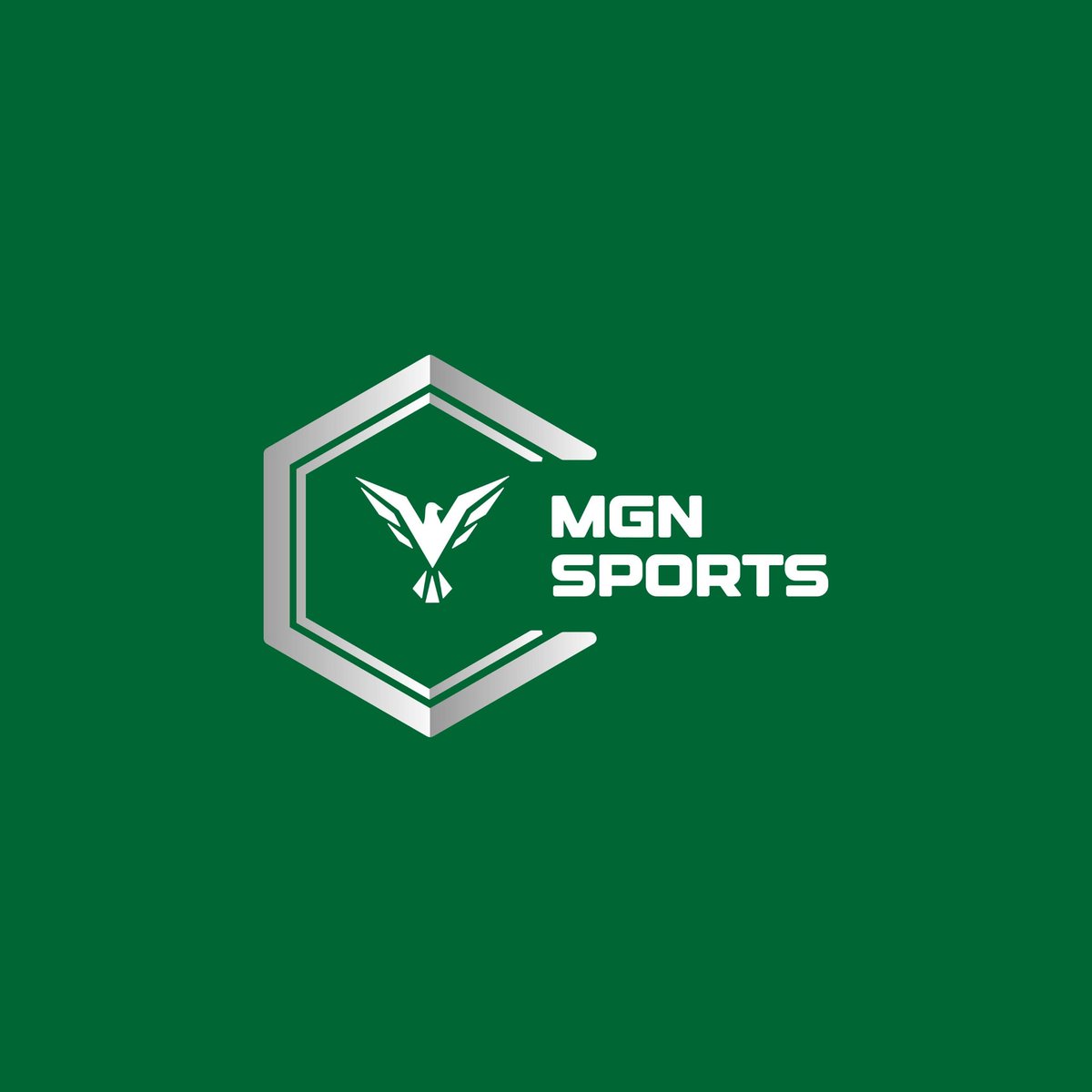 mrgnsports's tweet image. As we stand at the threshold of a brand-new year, I want to take a moment to express my deepest gratitude to each and every one of you for being an integral part of our journey in 2024.

Your unwavering support, encouragement, and loyalty have been the driving force behind our…