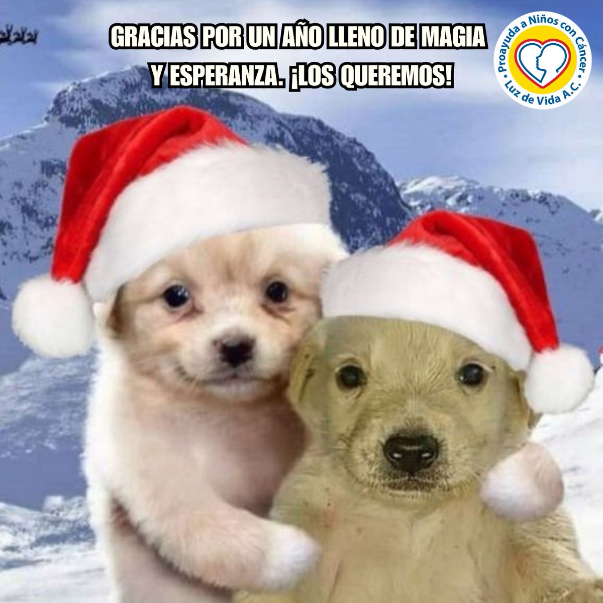 Proayuda a Niños con Cáncer Luz de Vida A. C. tweet media