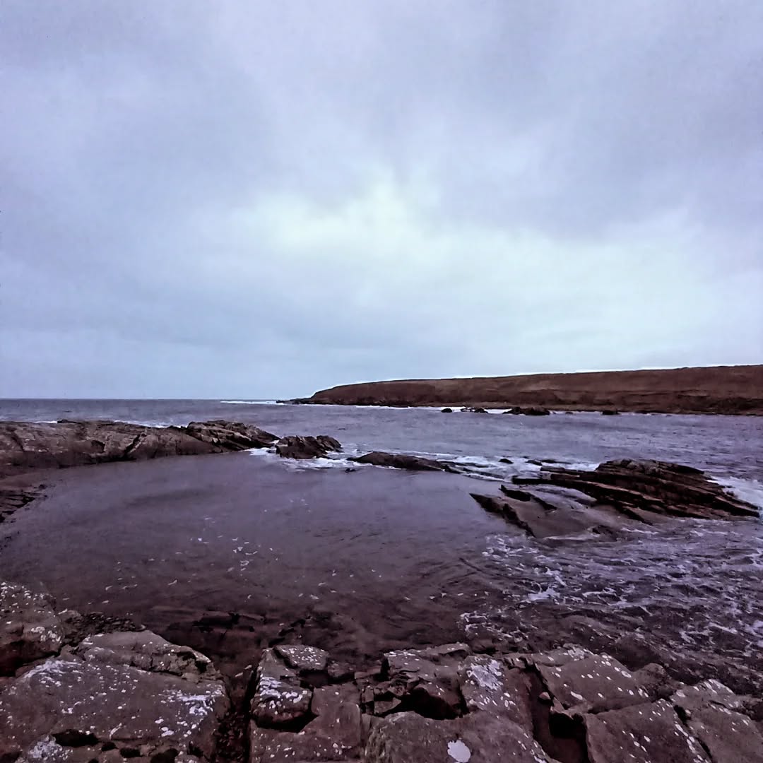 Day 366 ✅️ #366DaysOfWalking and Day 1,096 ✅️. I will be participating in #100DaysOfWalking, but not on this platform. I will be over on Instagram and maybe Bluesky. Slán go fóill!