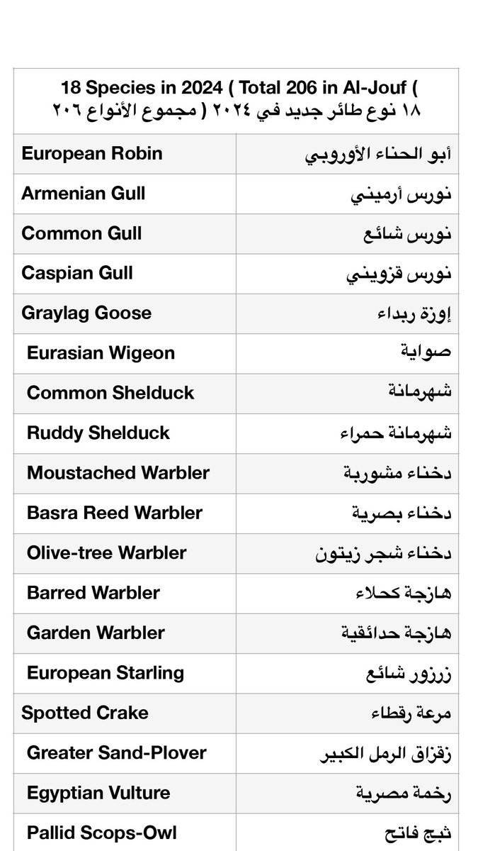 بتوفيق الله ثم بتعاون الأصدقاء مشكورين🌷
استطعت تصوير 18 طائراً جديداً في سنة #2024 لم أستطع رصدها مسبقاً
ليرتفع عدد الأنواع إلى 206 طائر قد حلقت في سماء #الجوف بعدستي 💙