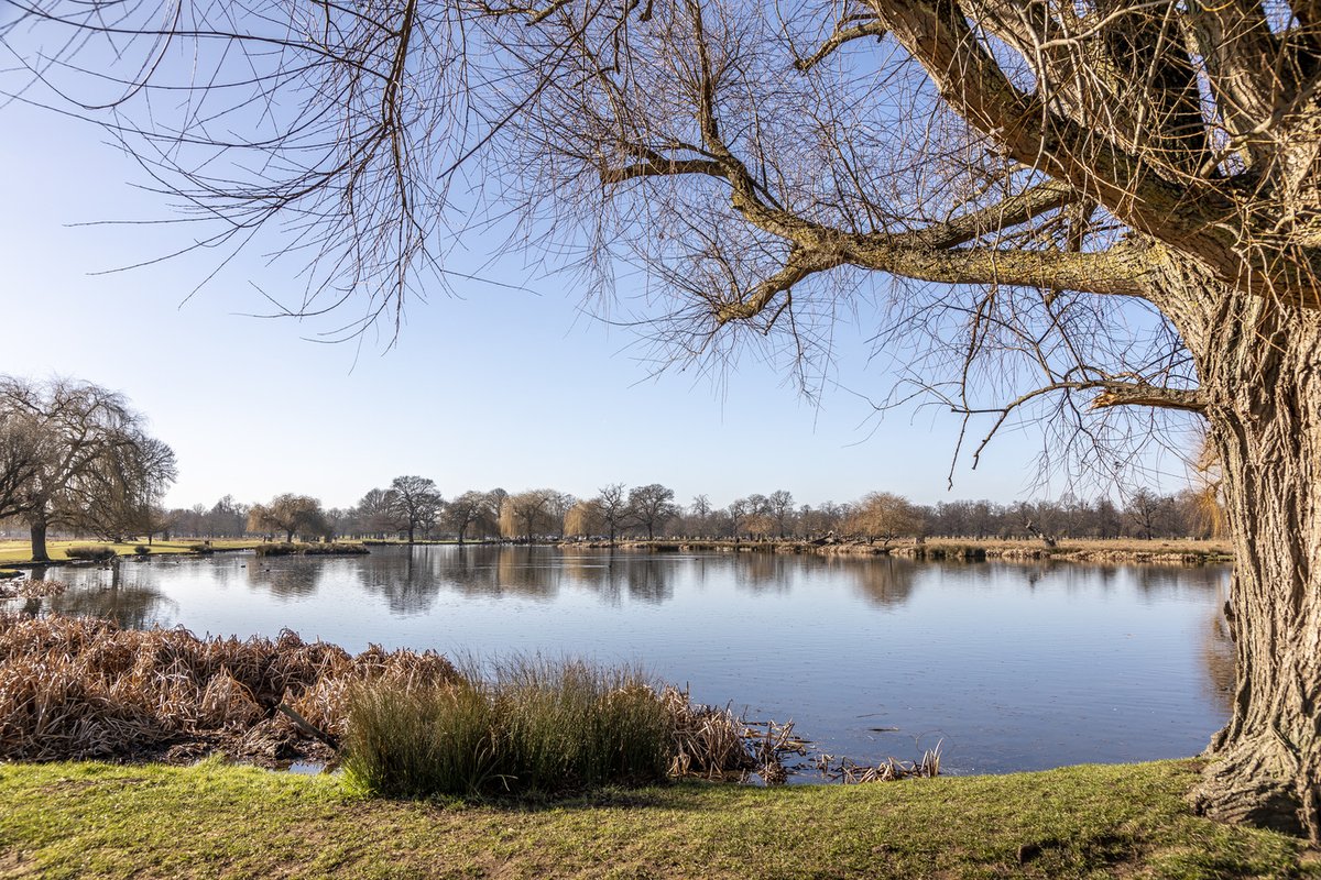 ⚠️ Due to a yellow weather warning of severe wind gusts all Royal Parks will be subject to a delayed opening on Wednesday 1 January.

⛔ This includes all cafes, kiosks, park roads &amp; cycleways.

We're sorry for any inconvenience caused.

Read more, here ▶️ bit.ly/41QotOV
