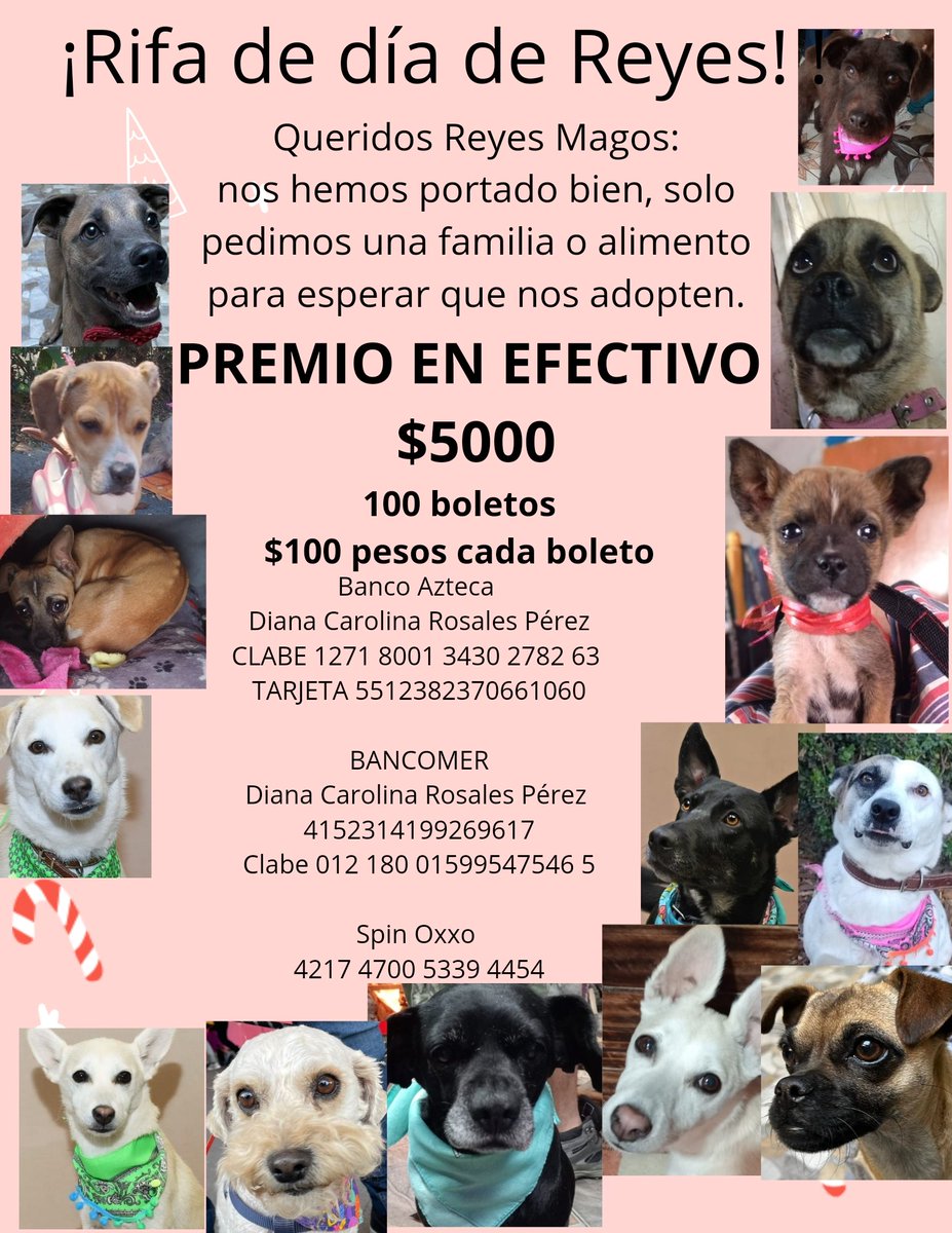Amigos aún quedan un montón de números.
Ayúdenos a seguir ayudando por favor 
21,22,23,24,30,31,34,36,38,39,40,41,42,43,44,45,46,49,51,52,53,55,60,61,62,64,65,66,67,68,69,70,71,73,74,75,76,78,83,85,86,87,88,91,92,93,94,95,96,98
Si no deseas participar en la rifa puedes donar un