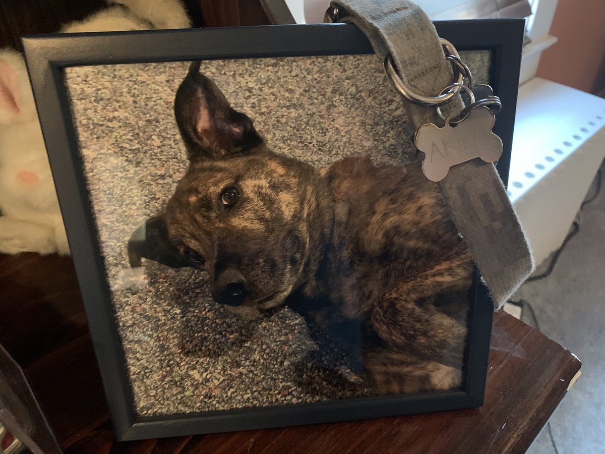 Critical Nobody tweet media