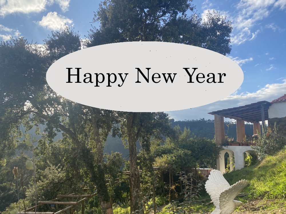 YogaevolutionR's tweet photo. Happy New Year, al the best for 2025 https://t.co/m79XKXDHXm