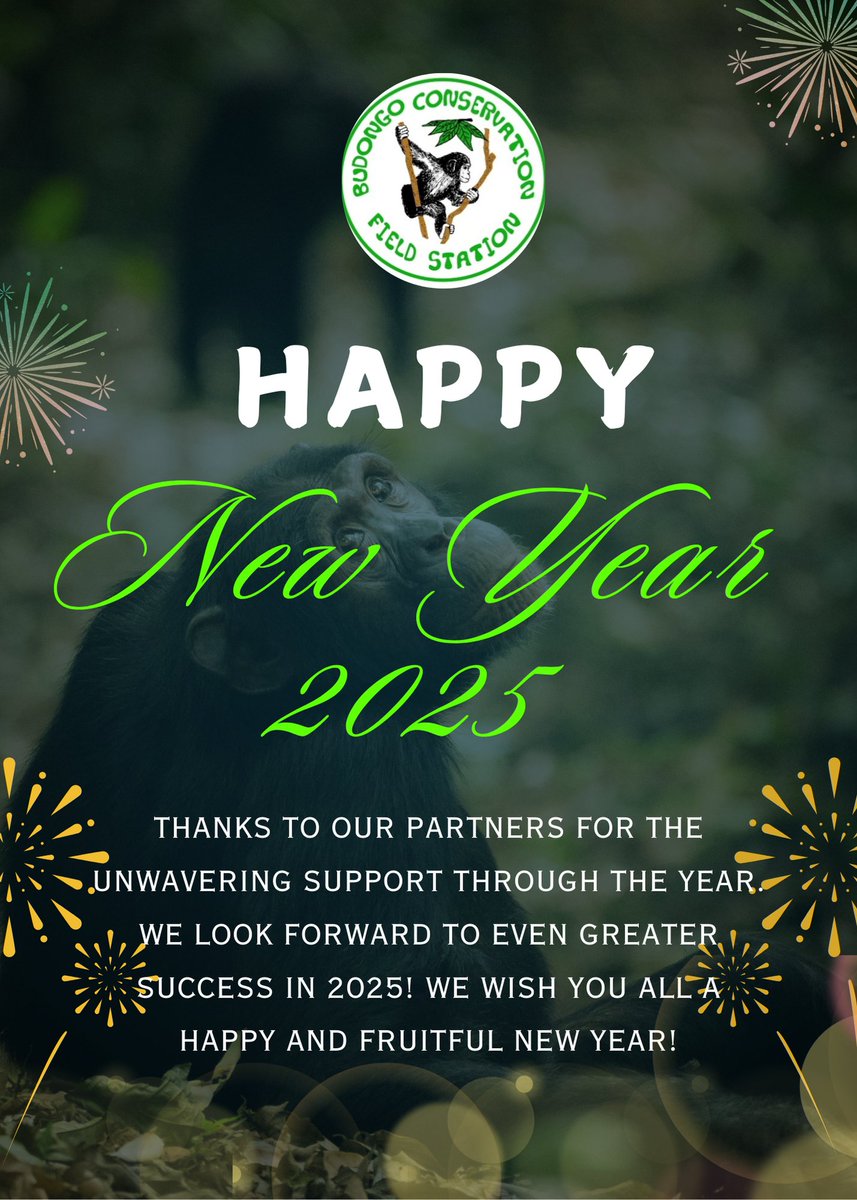 BCFS_Masindi's tweet photo. The year 2024 could never have been as eventful without the support of our various partners, friends, and staff. You made all the difference! We yet again look forward to an even more fruitful 2025! Pant hoots https://t.co/RPCRyOKX8P