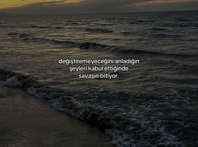 , tweet media