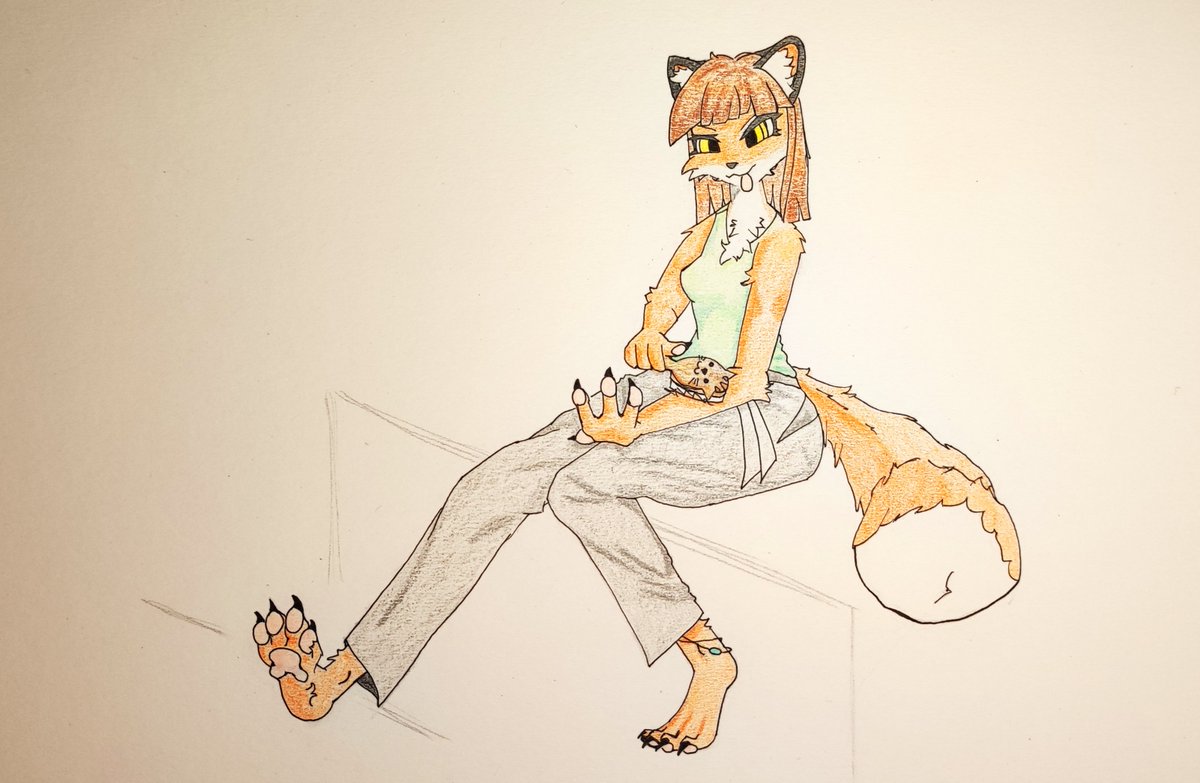 lixfal halifax tweet media