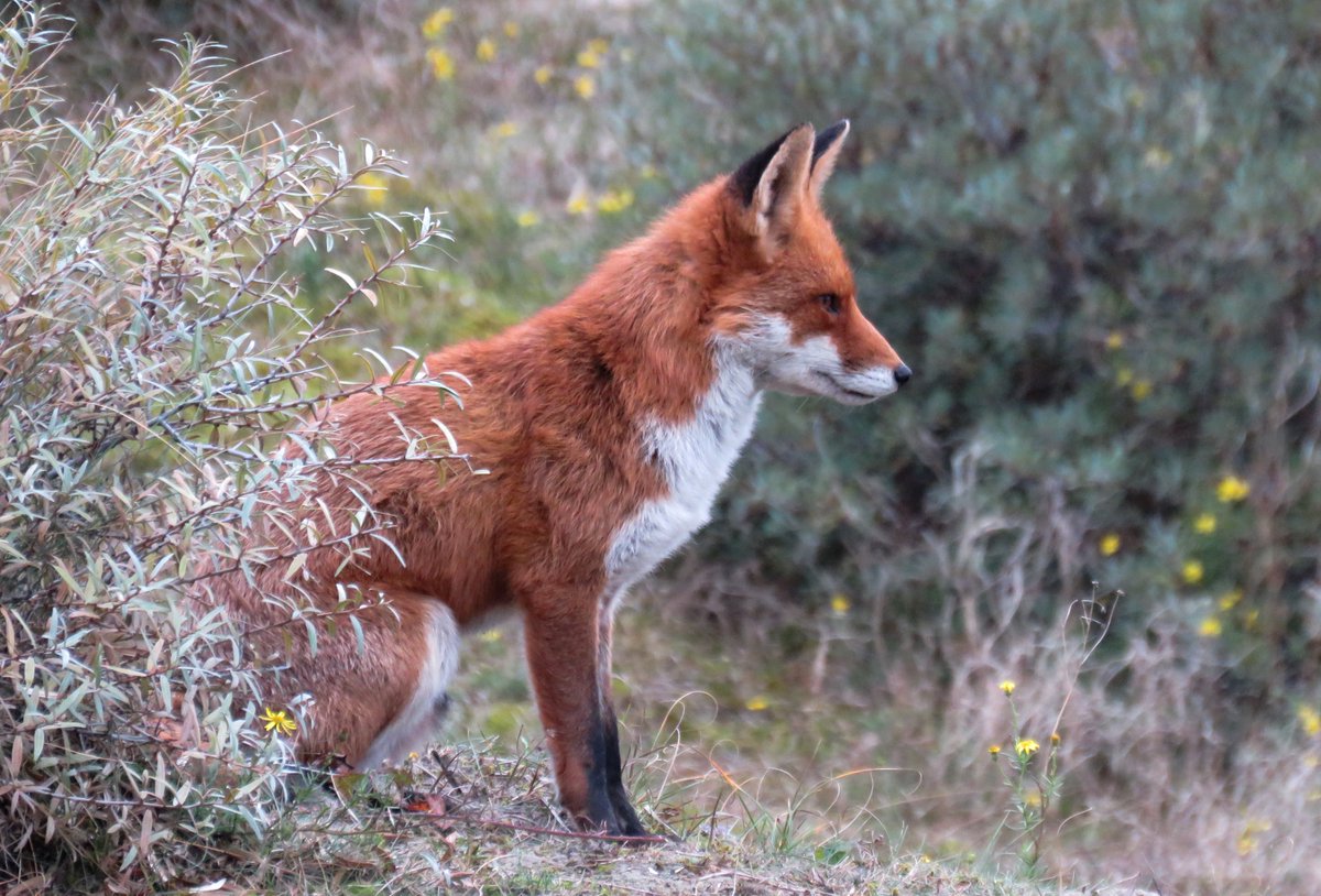 Traditioneel luid ik het jaar uit met de mooiste foto's van dat jaar, op Facebook. Indien het werkt, via onderstaande link te bekijken. Ik wens iedereen een hele goede jaarwisseling en de wereld een heel wat beter jaar dan 2024, met meer verbroedering!
facebook.com/media/set/?van…