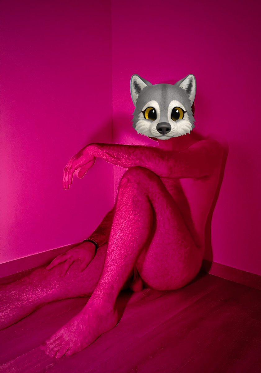 Et bonne année ! 🎊🎆🎈