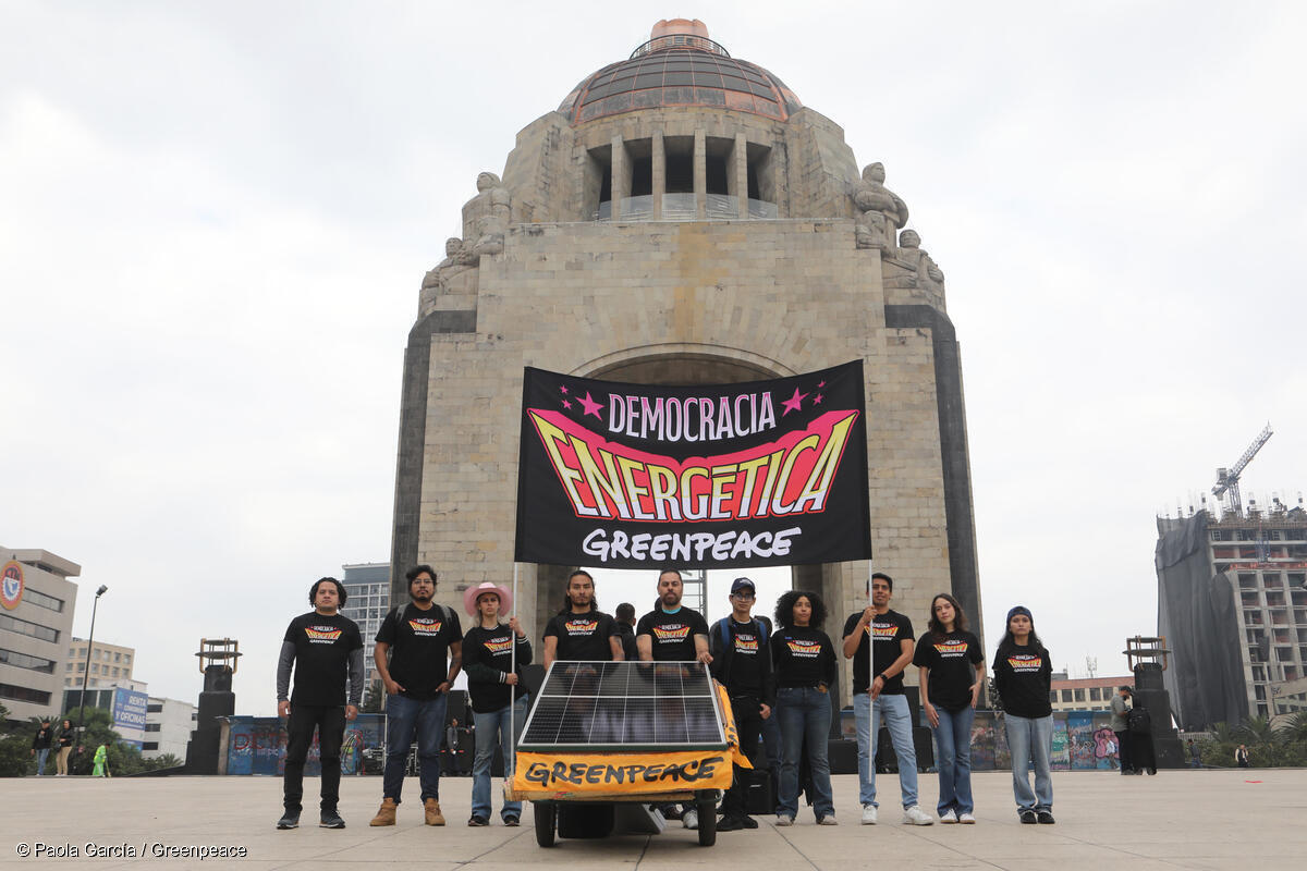 Greenpeace México tweet media