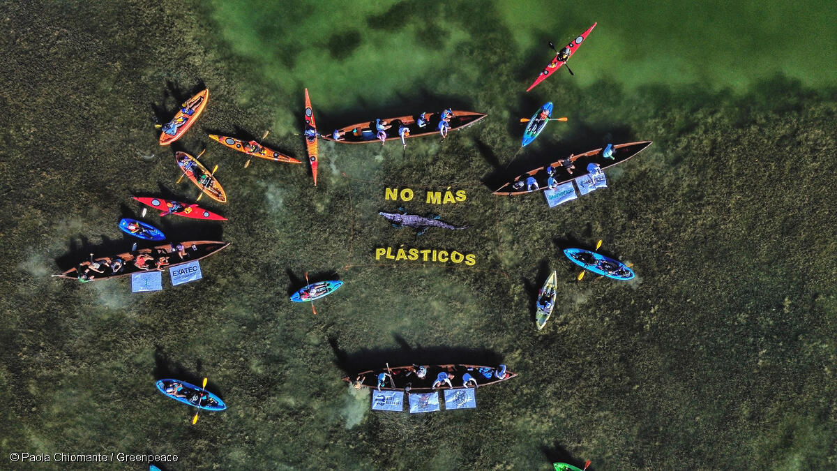 Greenpeace México tweet media