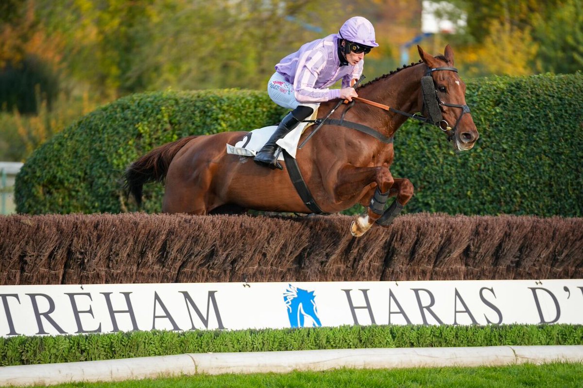 Provence Racing (@provence_racing) on Twitter photo Happy New Year from all of us at <a href="/Provence_Racing/">Provence Racing</a> 🐴🇨🇵
We've exciting plans for 2025 and we'd love you to join us on a spectacular ride enjoying everything that is great about French jump racing
provenceracing.com Happy New Year from all of us at <a href="/Provence_Racing/">Provence Racing</a> 🐴🇨🇵
We've exciting plans for 2025 and we'd love you to join us on a spectacular ride enjoying everything that is great about French jump racing
provenceracing.com